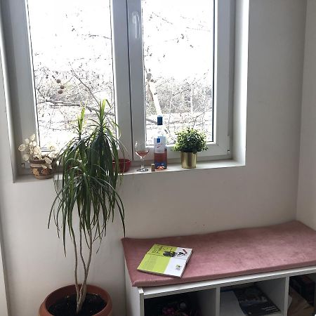 Studio 50 With Terrace Βελιγράδι Εξωτερικό φωτογραφία